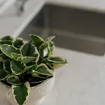 Appartamento Dock 1 Santa Cruz de Tenerife